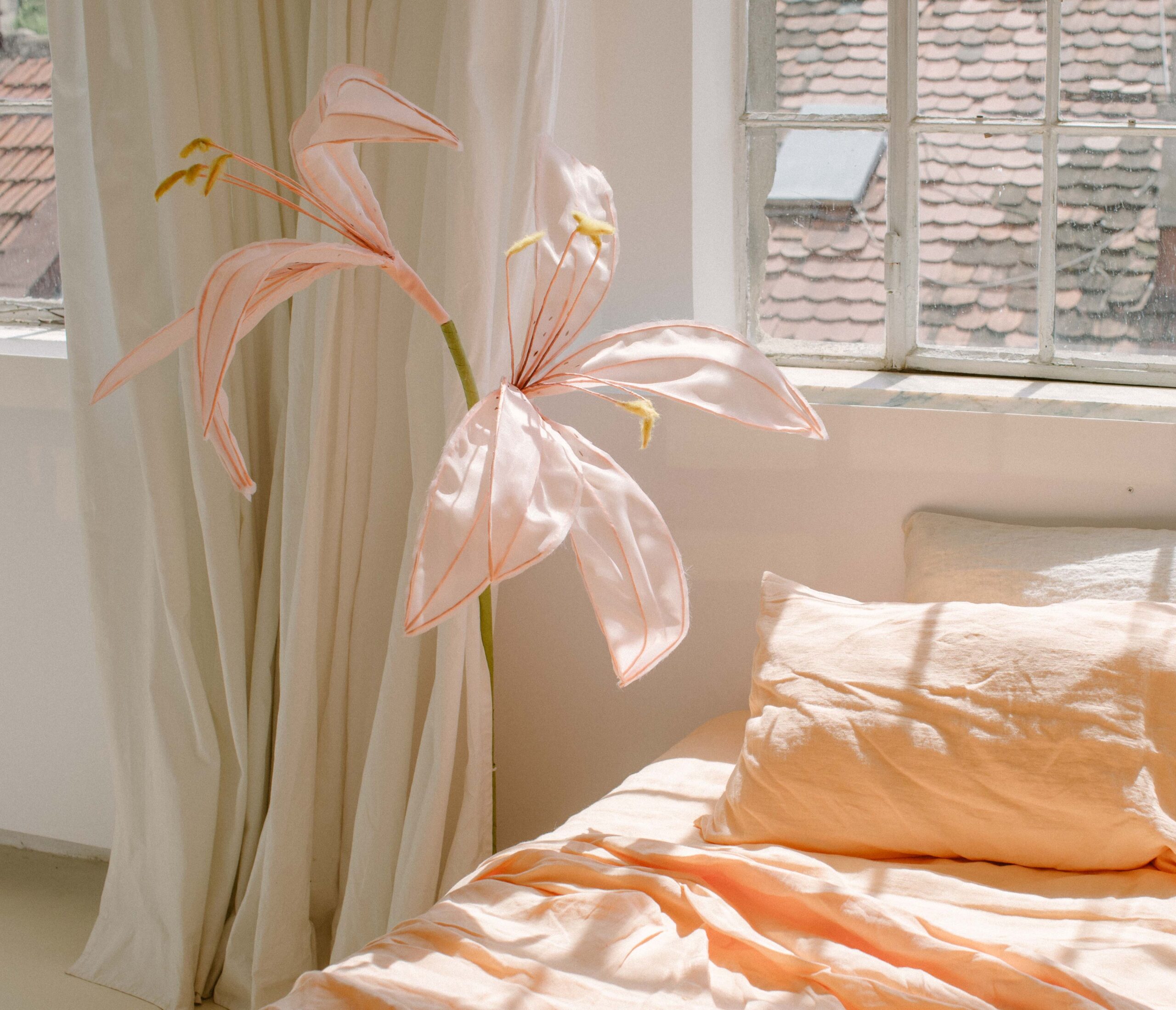 Set Peach Bite Fețe de Pernă 50x70 și Husă Pilotă 200x220