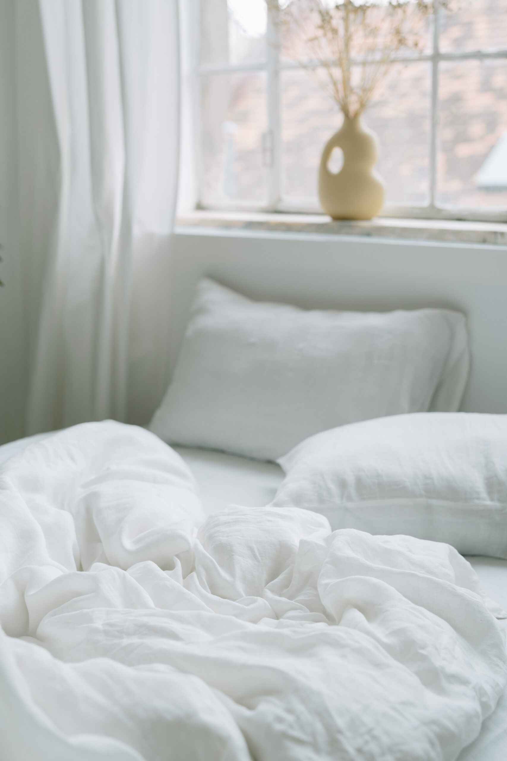 Set Gentle White Fețe de Pernă 60x60 și Husă Pilotă 220x220