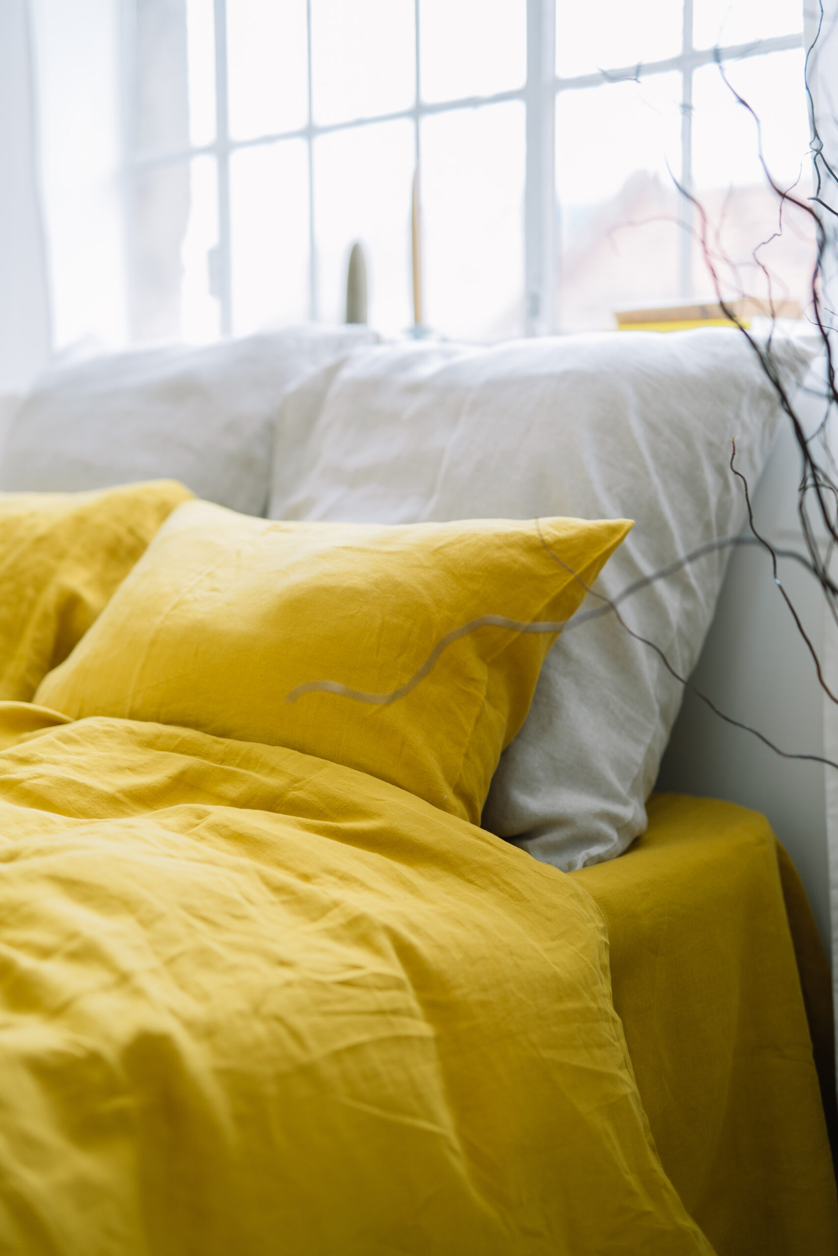 Set Pumpkin Sweet Fețe de Pernă 50x60 și Husă Pilotă 200x200