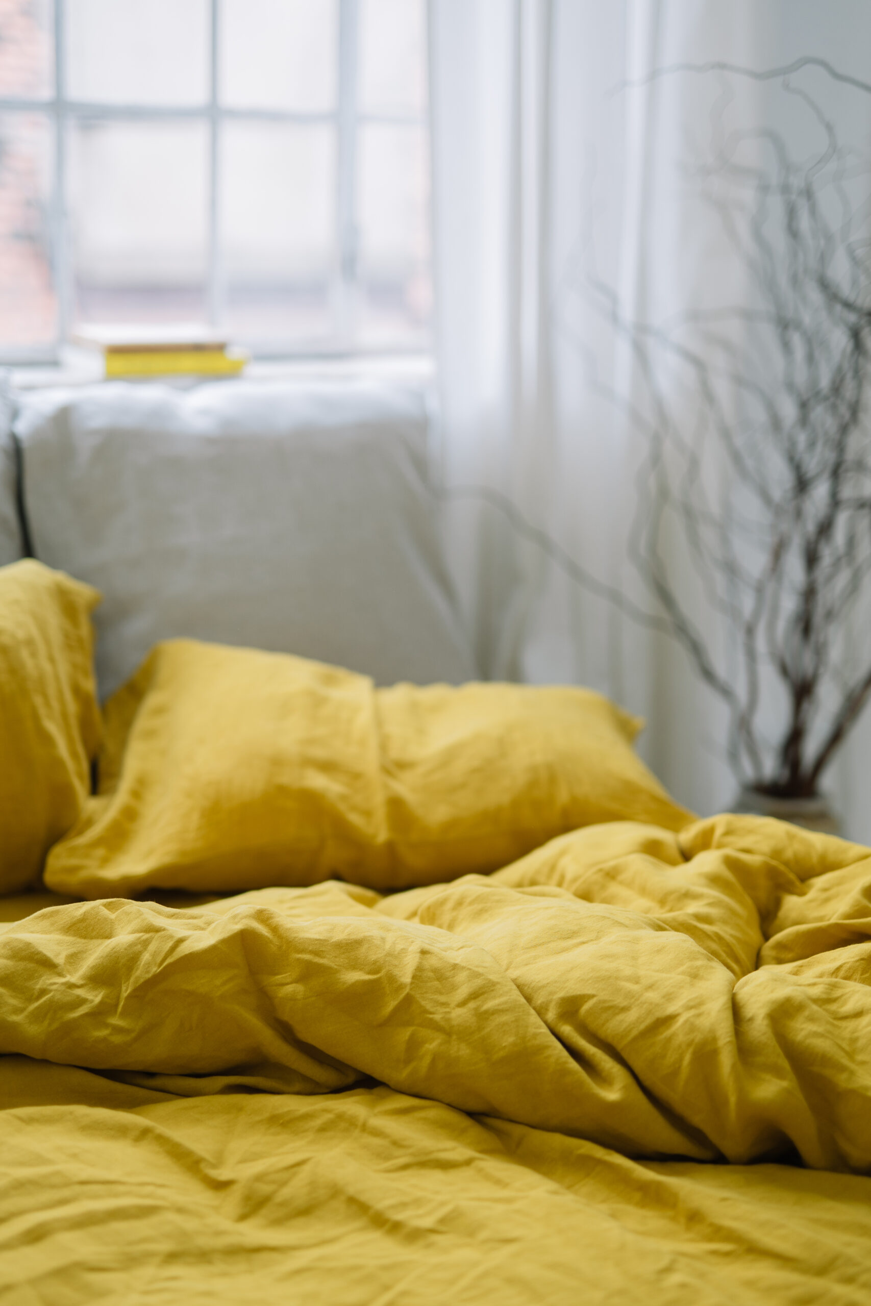 Set Pumpkin Sweet Fețe de Pernă 50x60 și Cearșaf 90x200