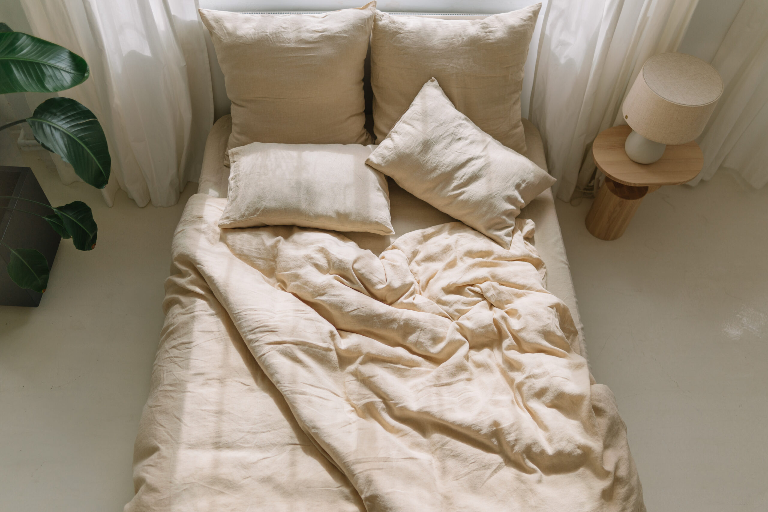 Set Vanilla Cream Fețe de Pernă 50x60 și Cearșaf 90x200