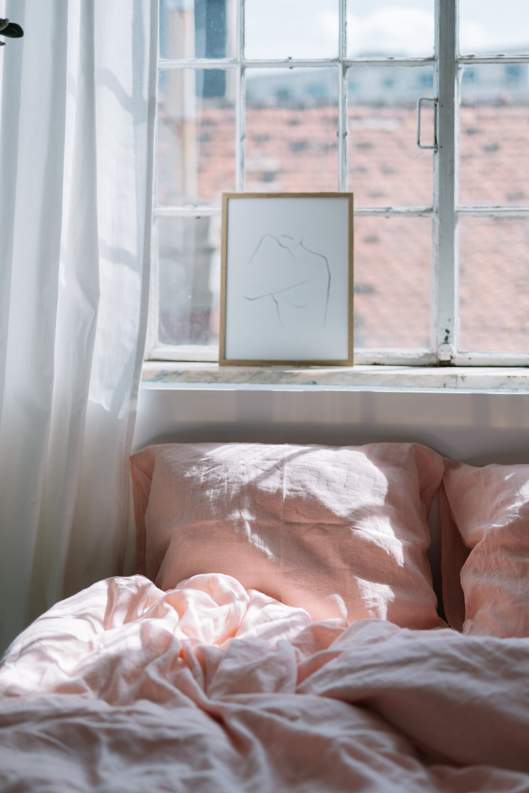 Set Dusty Pink Fețe de Pernă 50x60 și Husă Pilotă 200x200