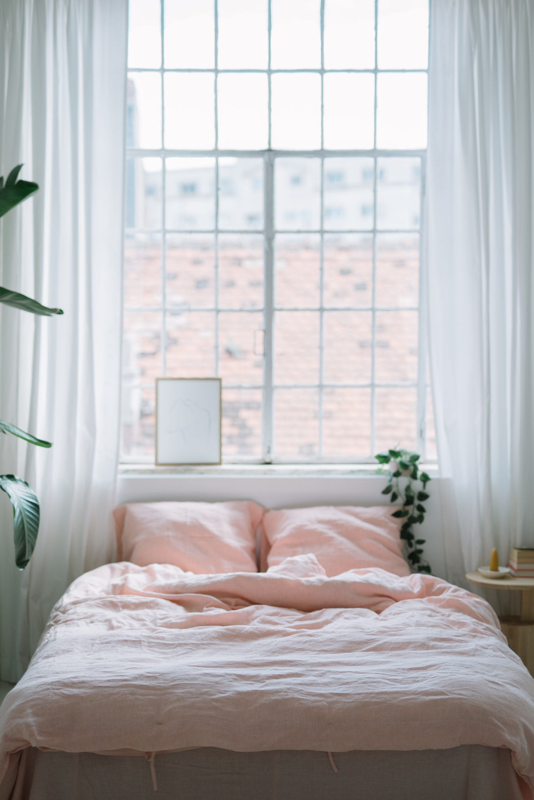 Set Dusty Pink Fețe de Pernă 50x70 și Husă Pilotă 220x220