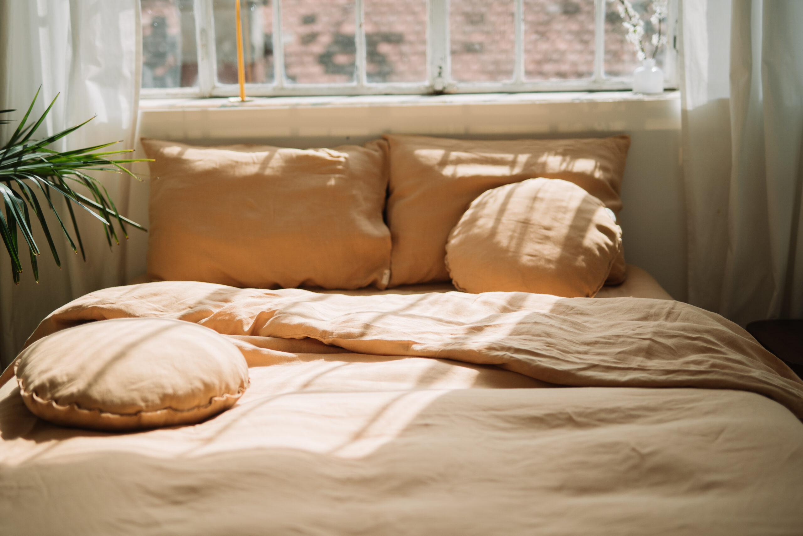 Set Gentle Daisy Fețe de Pernă 50x70 și Husă Pilotă 200x220