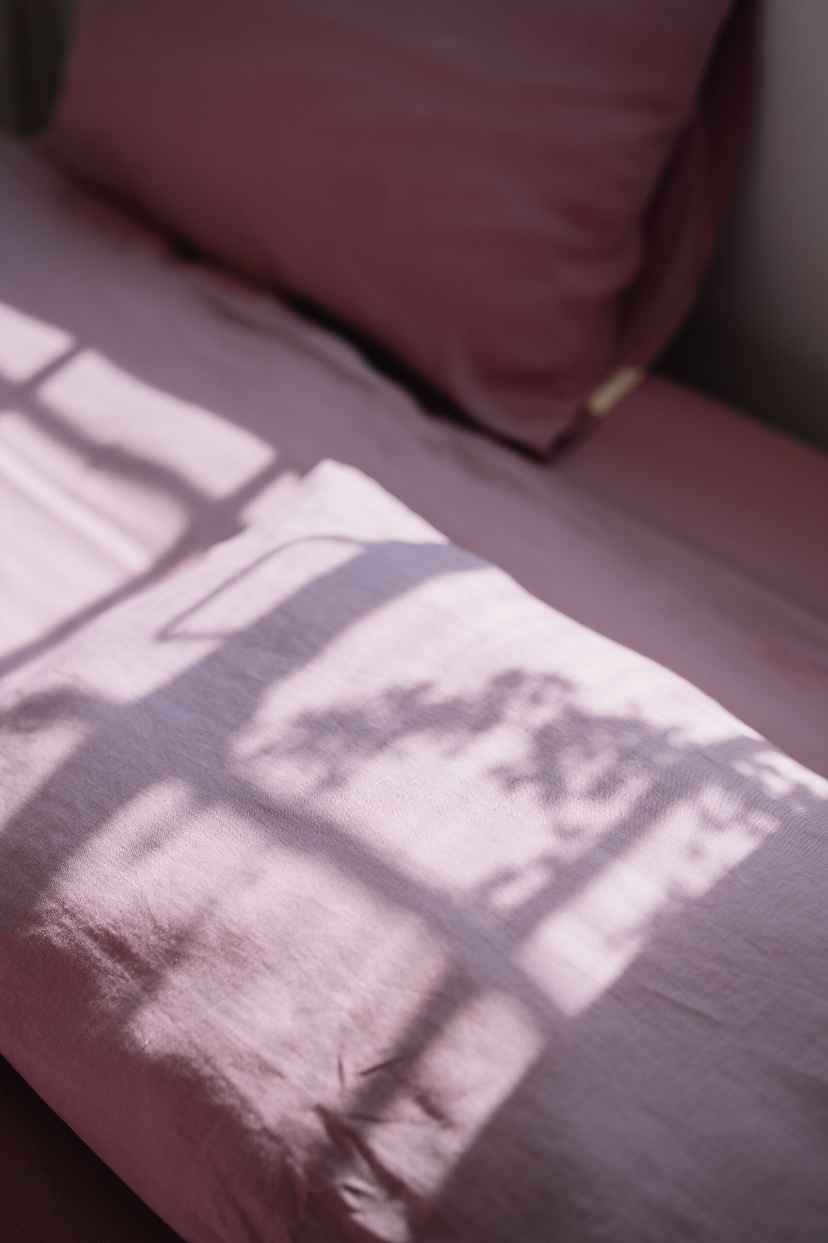 Set Purple Dream Cearșaf 90x200 și Husă Pilotă 150x200